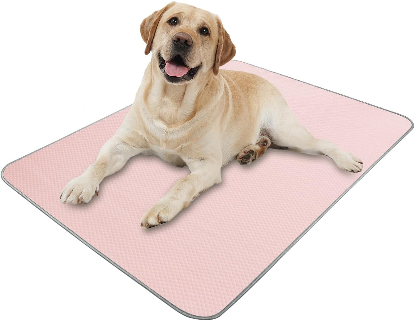 Pet Chill Mat