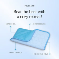 Pet Chill Mat