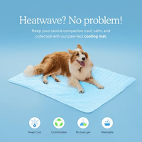 Pet Chill Mat