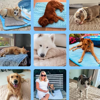 Pet Chill Mat