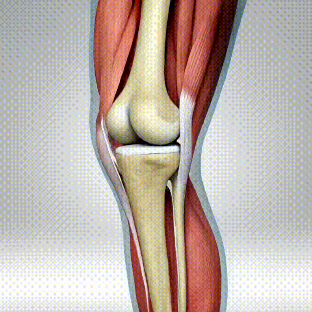 Knee Comfort Massager