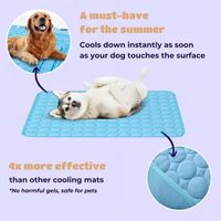 Pet Chill Mat