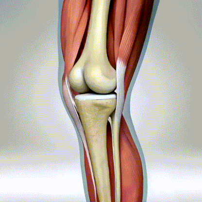 Knee Comfort Massager