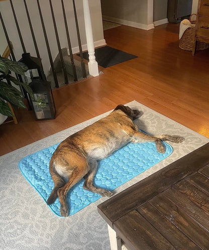 Pet Chill Mat