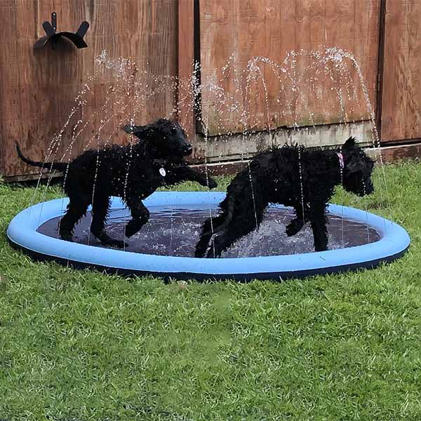 Kids Dog Splash Pad