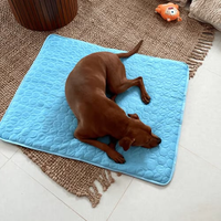 Pet Chill Mat